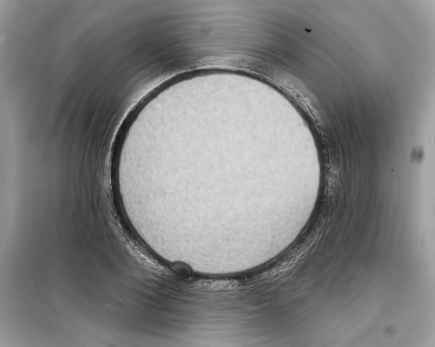 X0000098170884200805221513