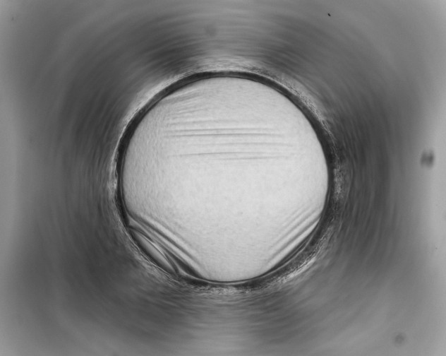 X0000098170885200805221513