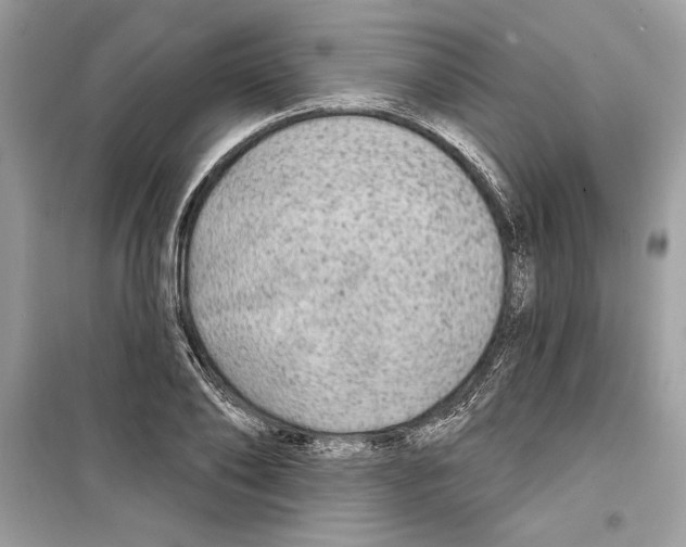 X0000098170886200805221513