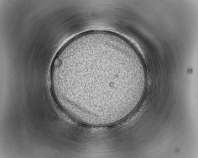 X0000098170887200805221513