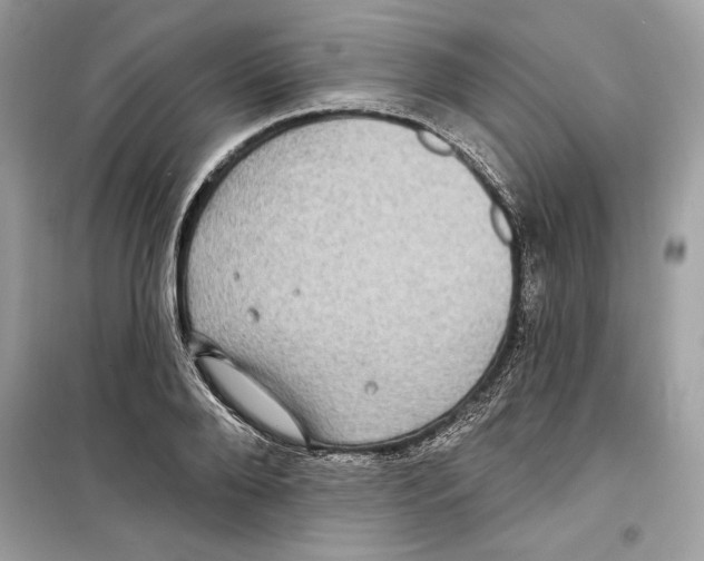 X0000098170888200805221513