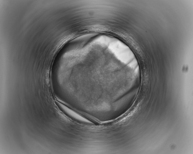 X0000098170889200805221513