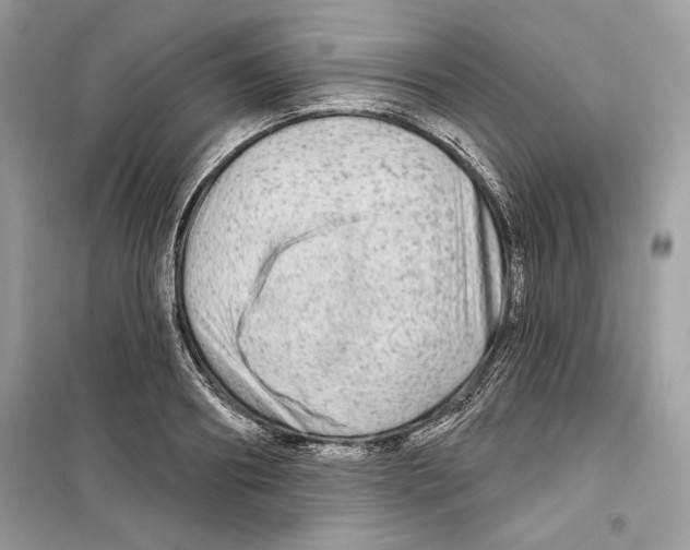 X0000098170890200805221513