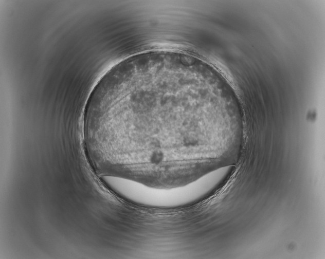 X0000098170891200805221513