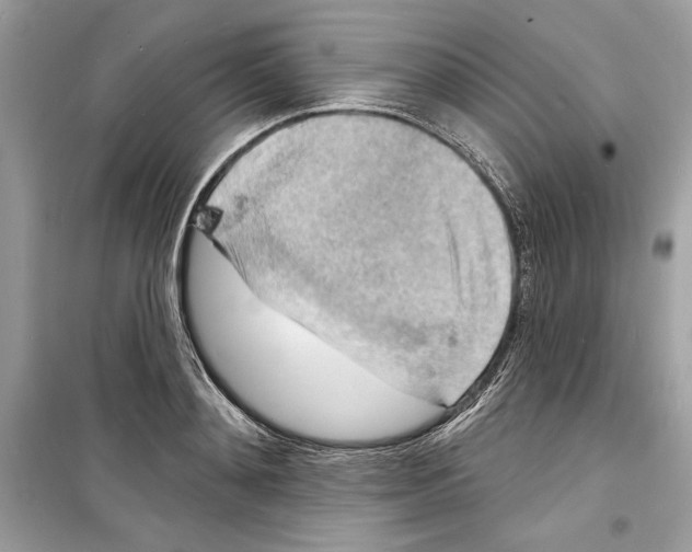 X0000098170892200805221513