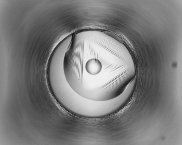 X0000098170893200805221513