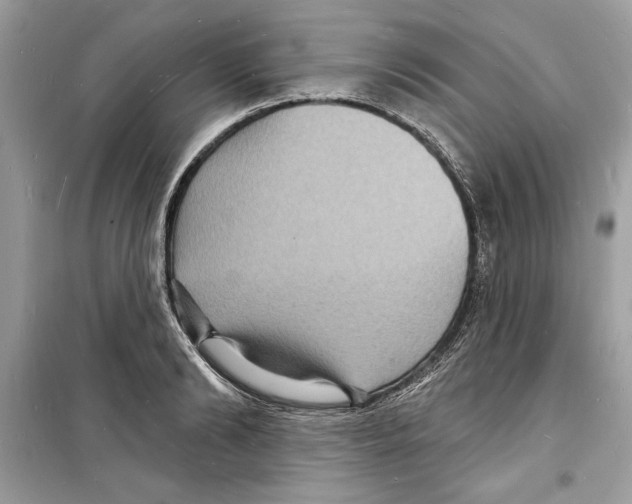 X0000098170894200805221513