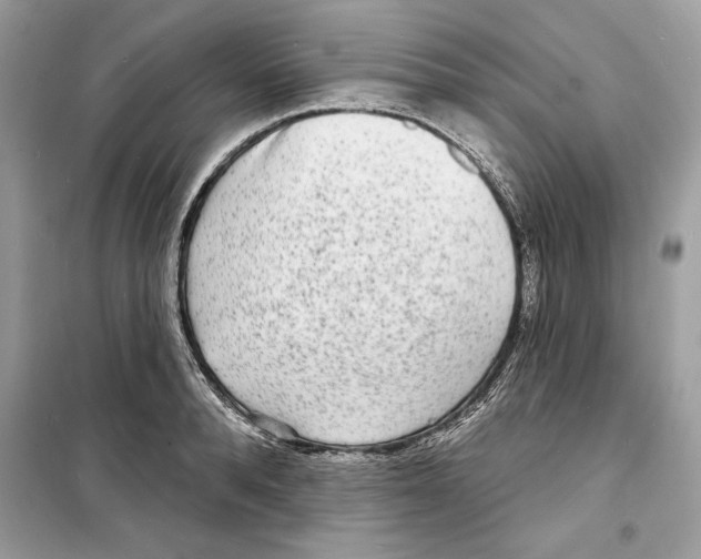 X0000098170896200805221513