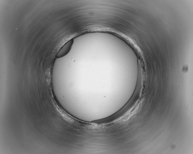 X0000098170897200805221512