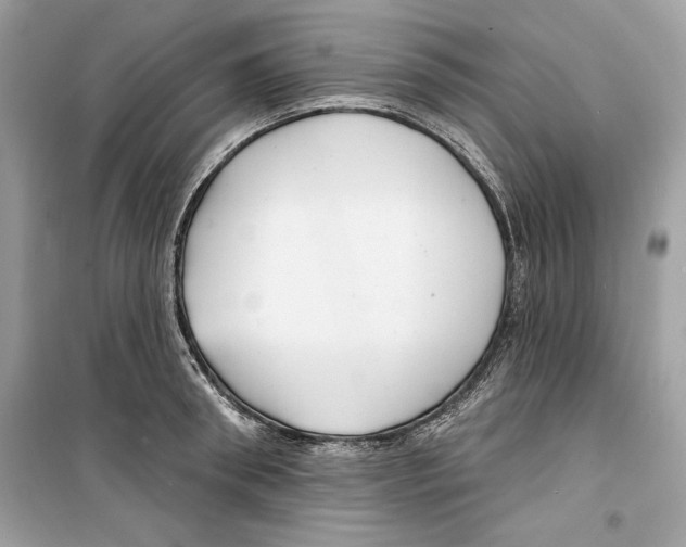 X0000098170898200805221512