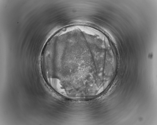 X0000098170899200805221512