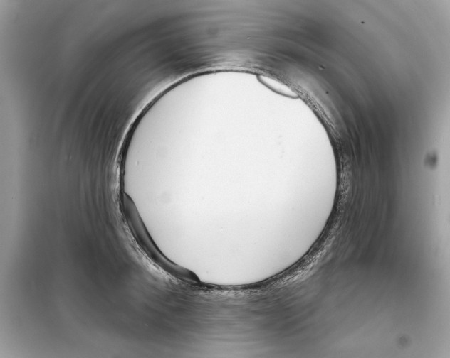 X0000098170900200805221512