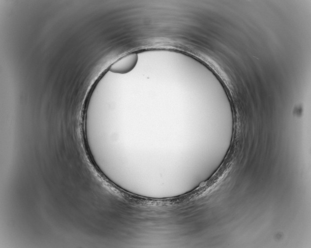 X0000098170901200805221512