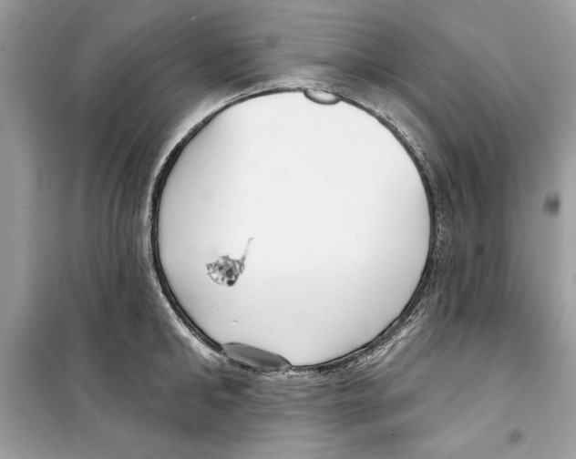 X0000098170902200805221512