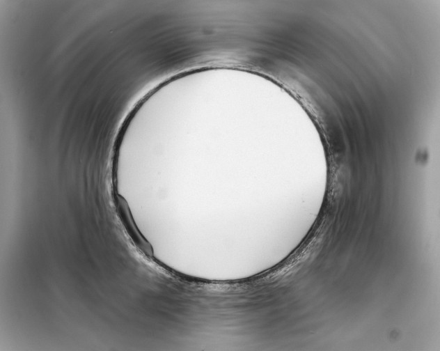 X0000098170904200805221512