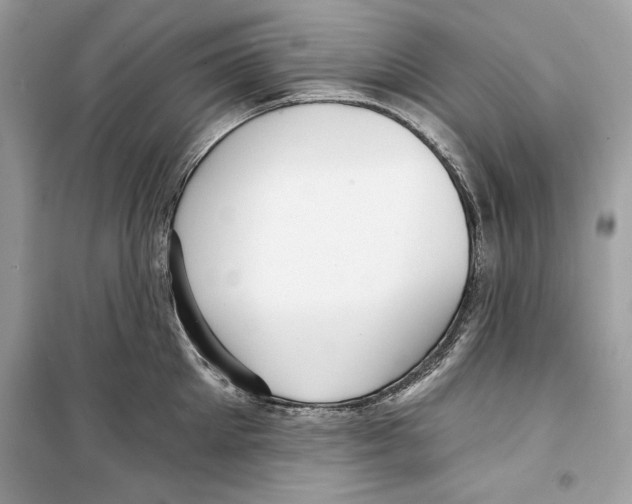 X0000098170905200805221512