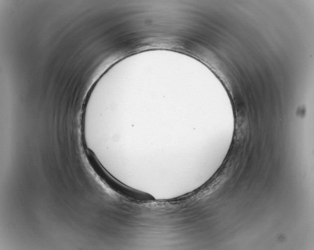 X0000098170906200805221512