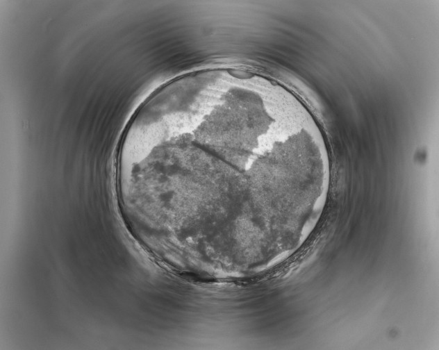 X0000098170907200805221512