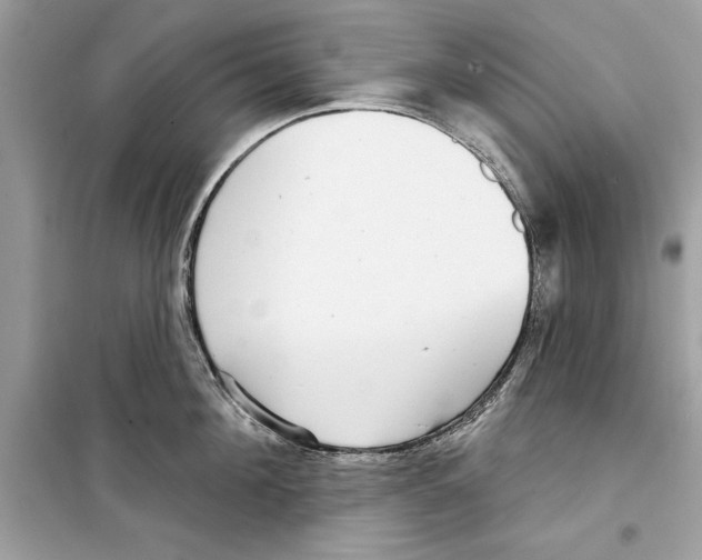 X0000098170908200805221512