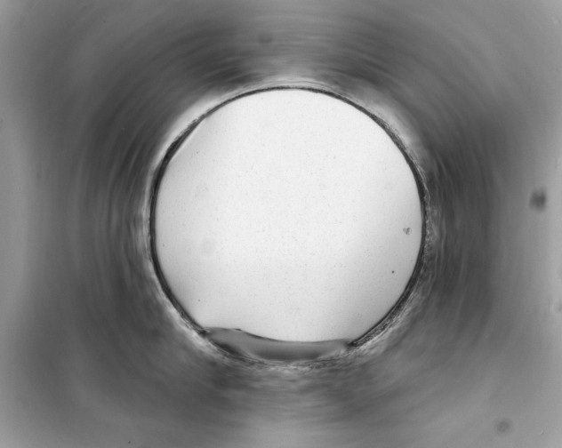 X0000098170910200805221512