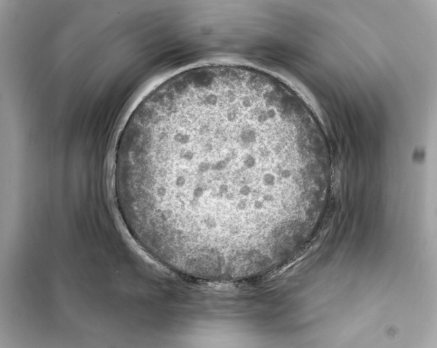 X0000098170911200805221512