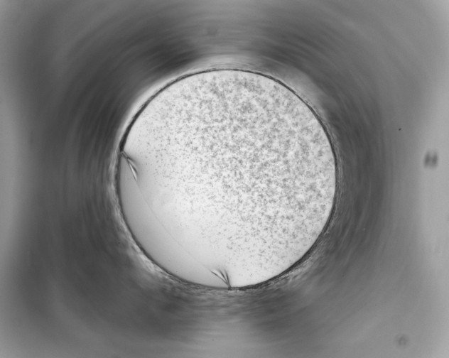 X0000098170912200805221512