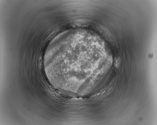 X0000098170915200805221512