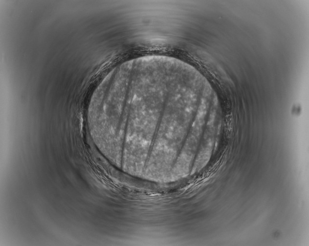 X0000098170916200805221512