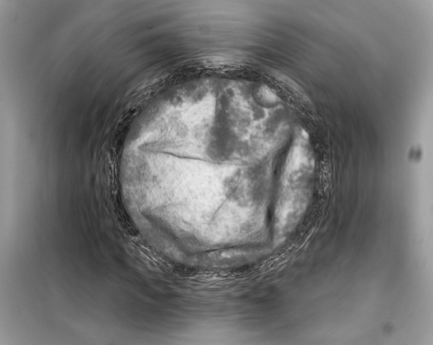 X0000098170917200805221512