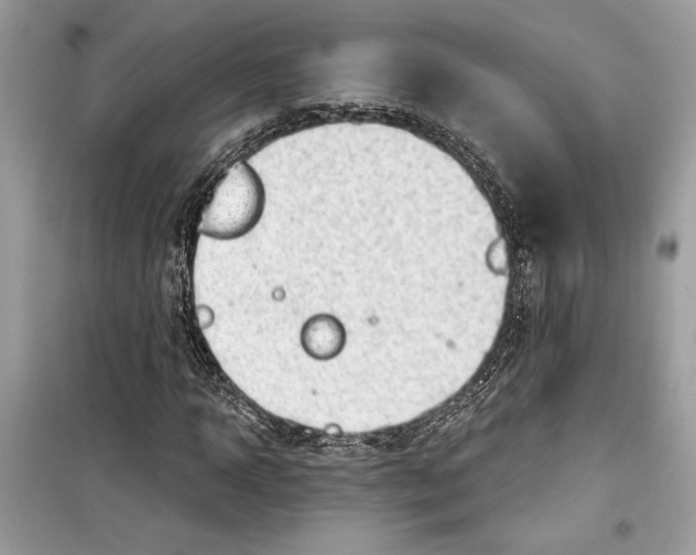 X0000098170918200805221512