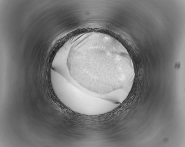 X0000098170920200805221512