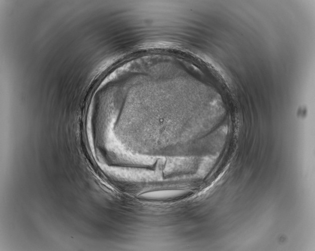 X0000098170921200805221512