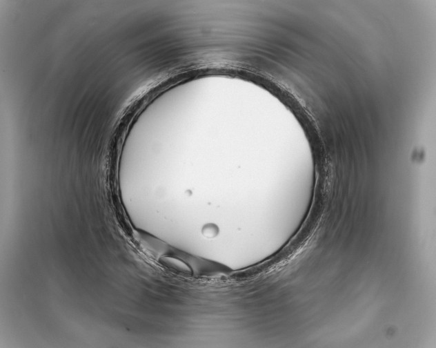 X0000098170922200805221512