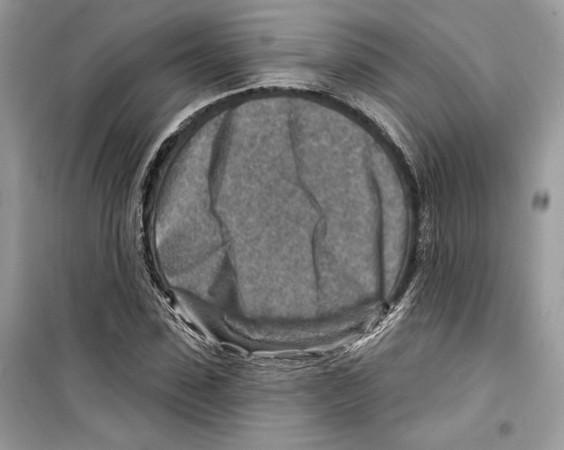 X0000098170923200805221512