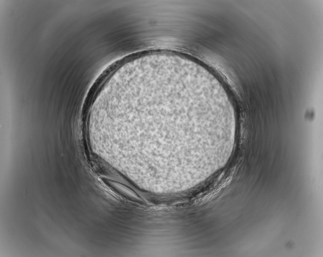 X0000098170924200805221512