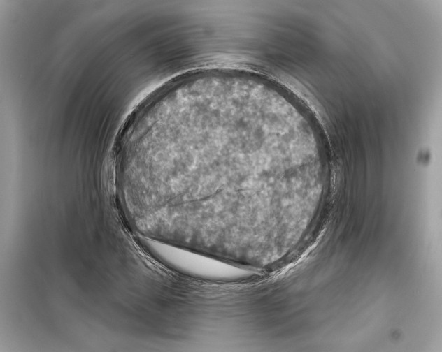 X0000098170925200805221512