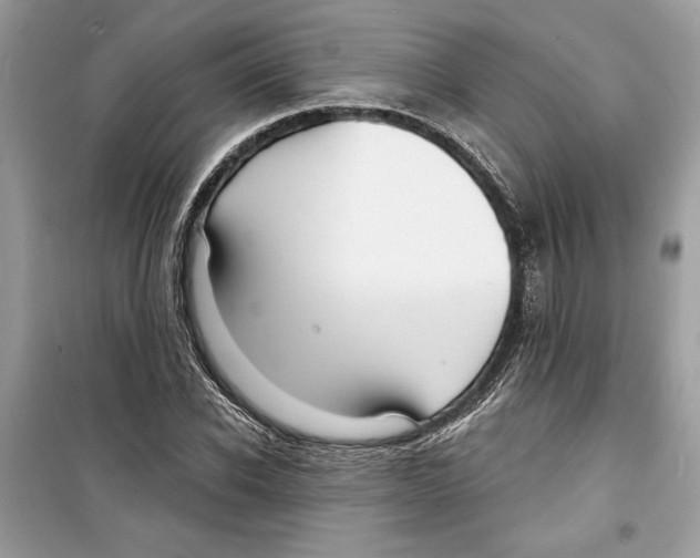 X0000098170926200805221512