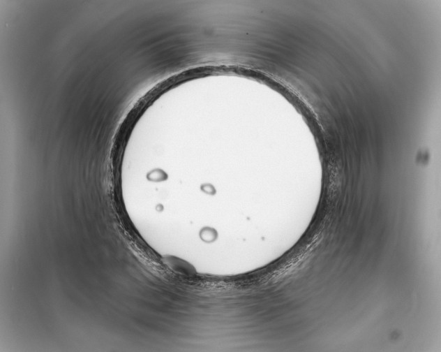 X0000098170927200805221512