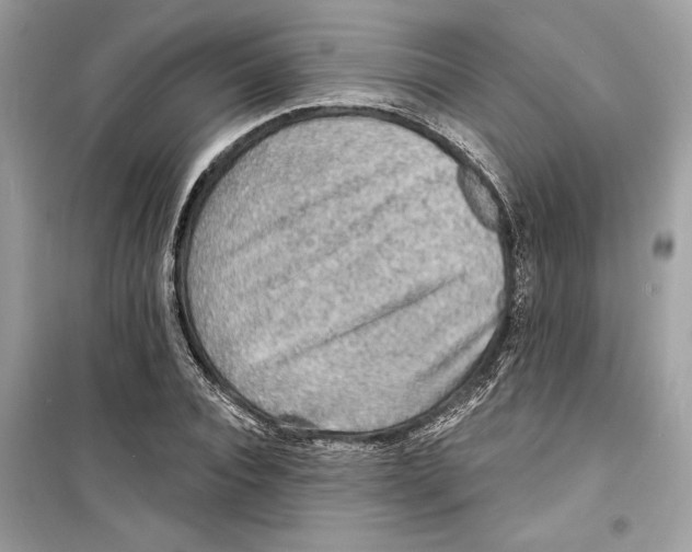 X0000098170928200805221512