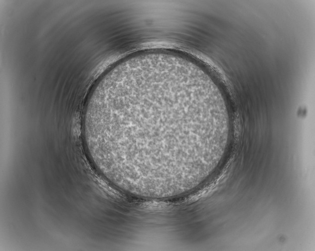 X0000098170929200805221512