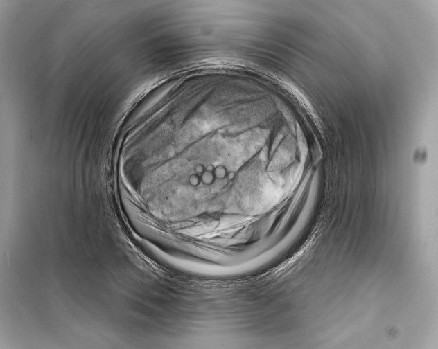 X0000098170930200805221512