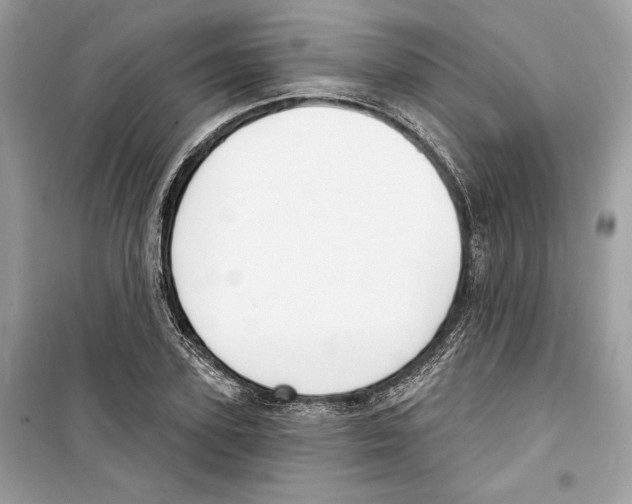 X0000098170931200805221512