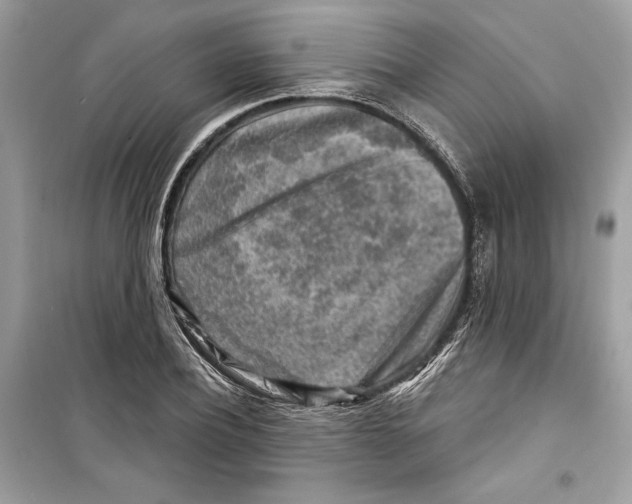 X0000098170932200805221512