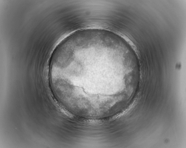 X0000098170933200805221512