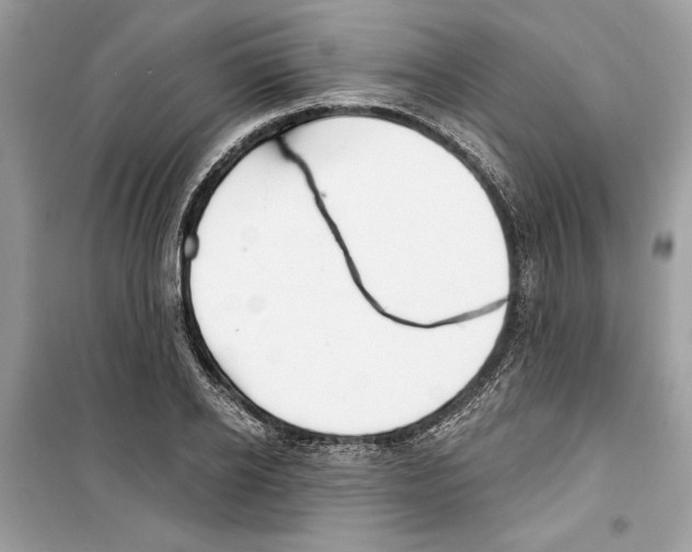 X0000098170934200805221512