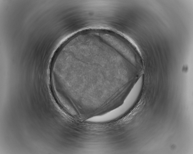 X0000098170935200805221512