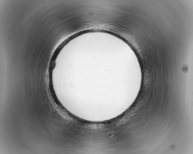 X0000098170936200805221512