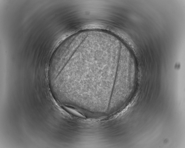 X0000098170937200805221512