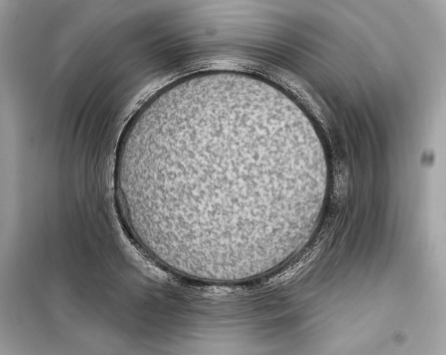 X0000098170938200805221512