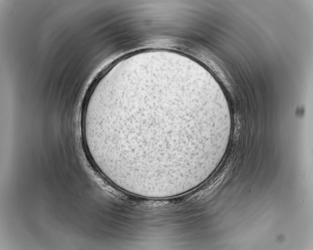 X0000098170939200805221512